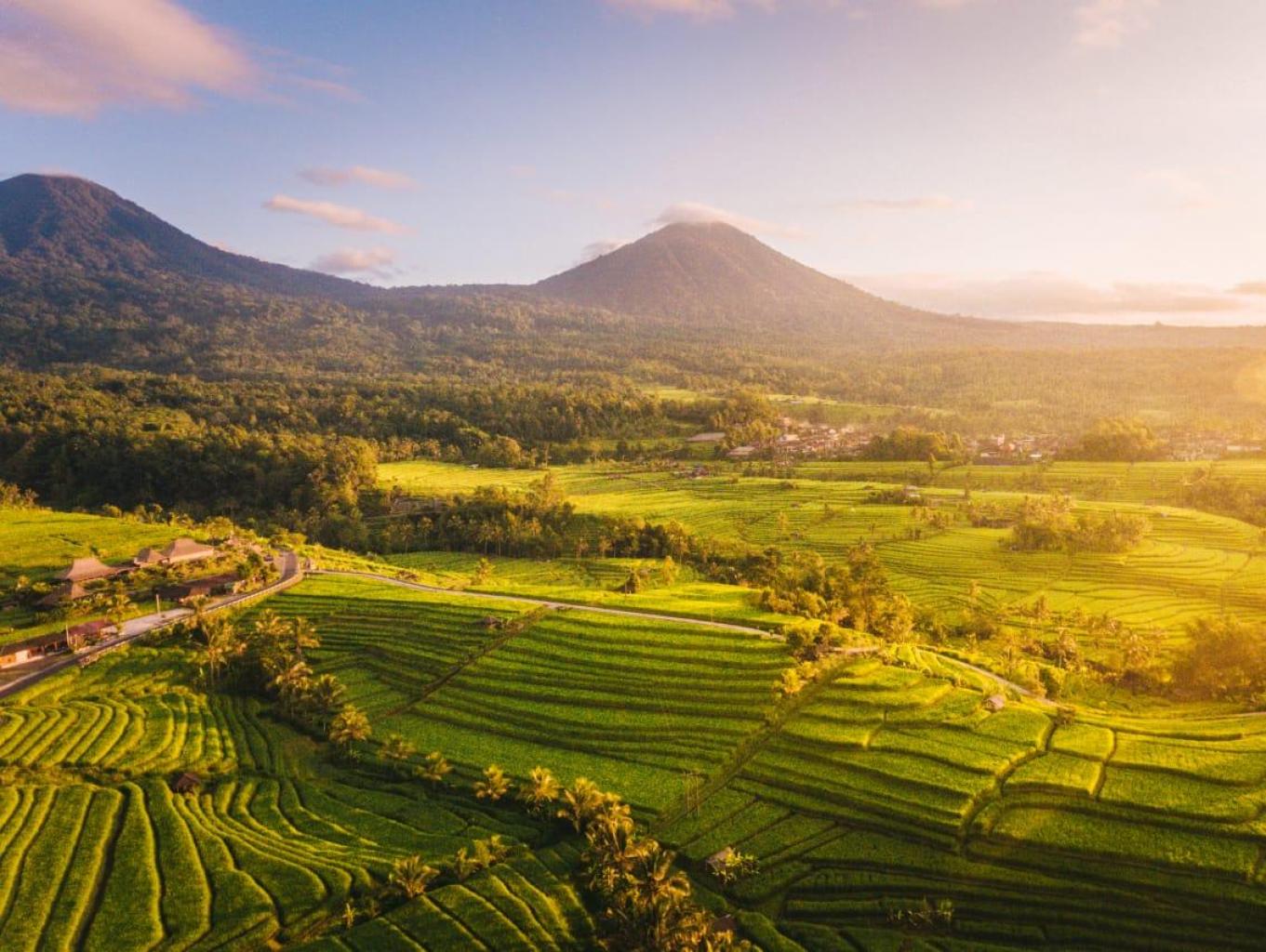 Alam Desa Cipinang Besar Utara yang Asri